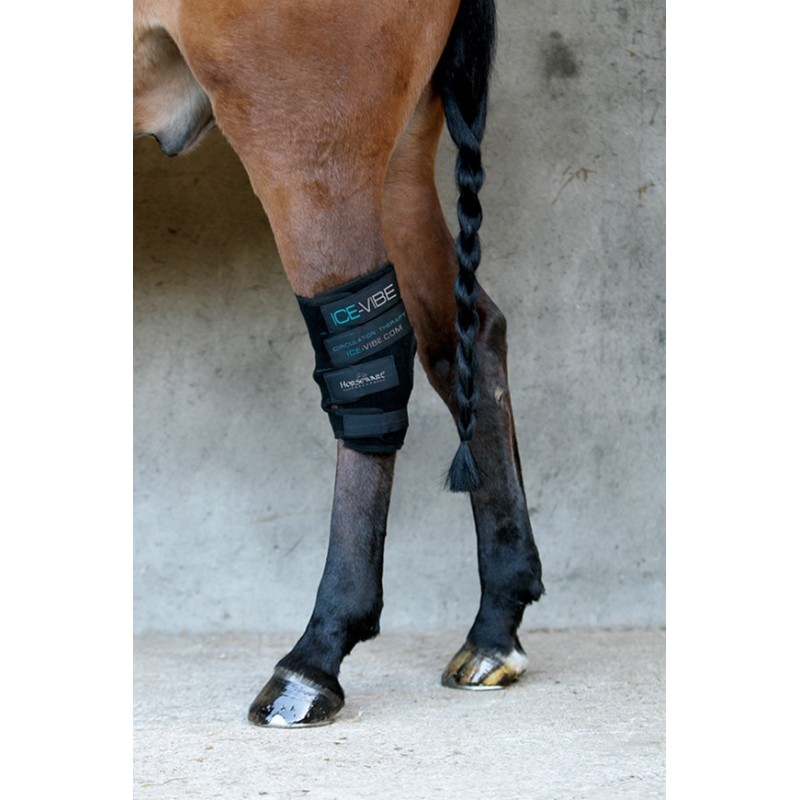 Protector Horseware Ice-Vibe(set completo)Corvejon Protector Horseware Ice-Vibe(set completo)Corvejon